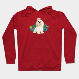 The Butterfly and the Havanese Hoodie